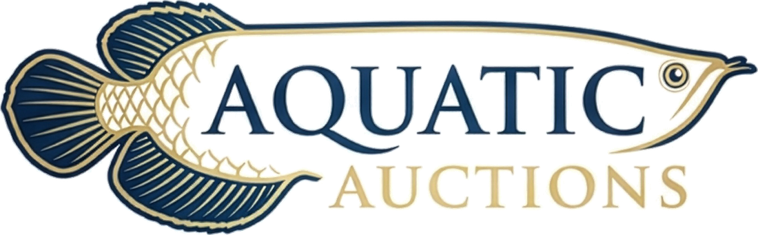 Aquatic-Auctions