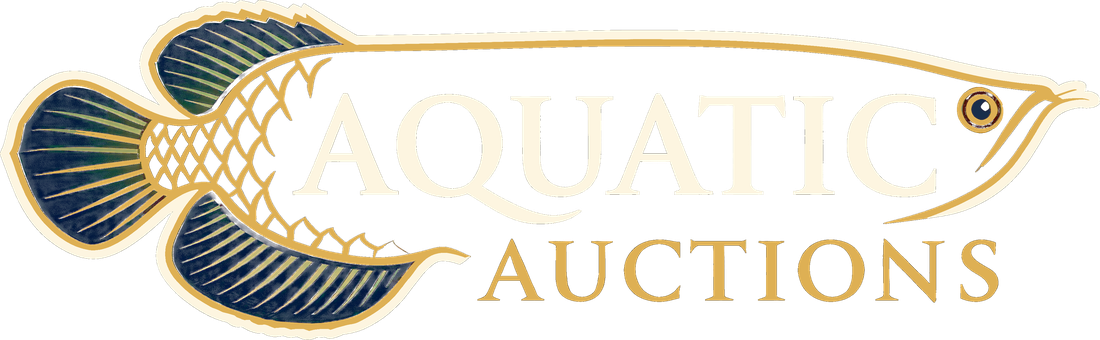 Aquatic-Auctions